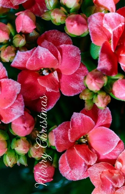 Screenshot 2026-04-19 223337rotated.jpg