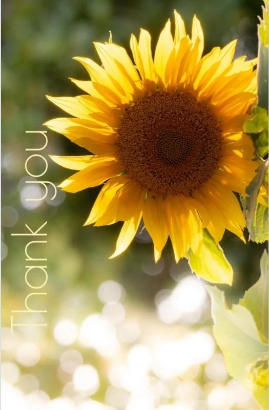 Screenshot 2026-04-18 220755rotated.jpg