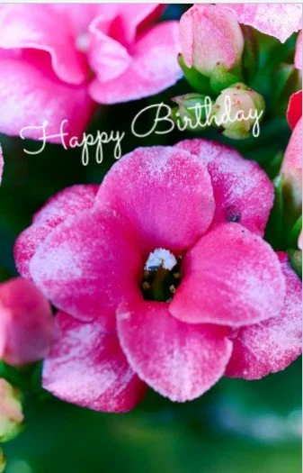 Screenshot 2026-04-18 190311.jpg