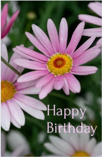 Screenshot 2026-04-18 212257.jpg