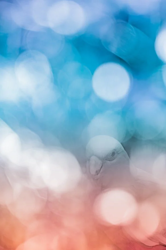 Screenshot 2026-04-23 135414.jpg