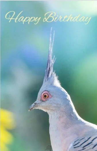 Screenshot 2026-04-18 211215.jpg