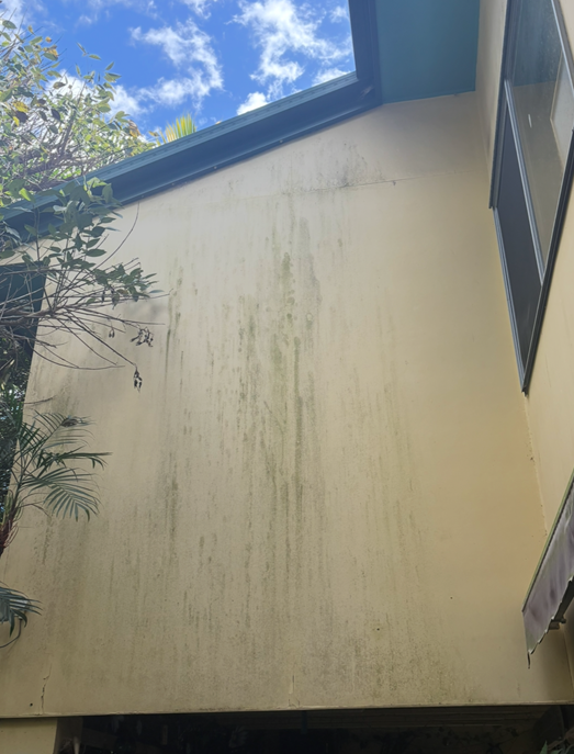 A view of a yellow exterior wall with vertical streaks of dirt or mold, a window on the right, palm trees, and blue sky with clouds visible above the wall.