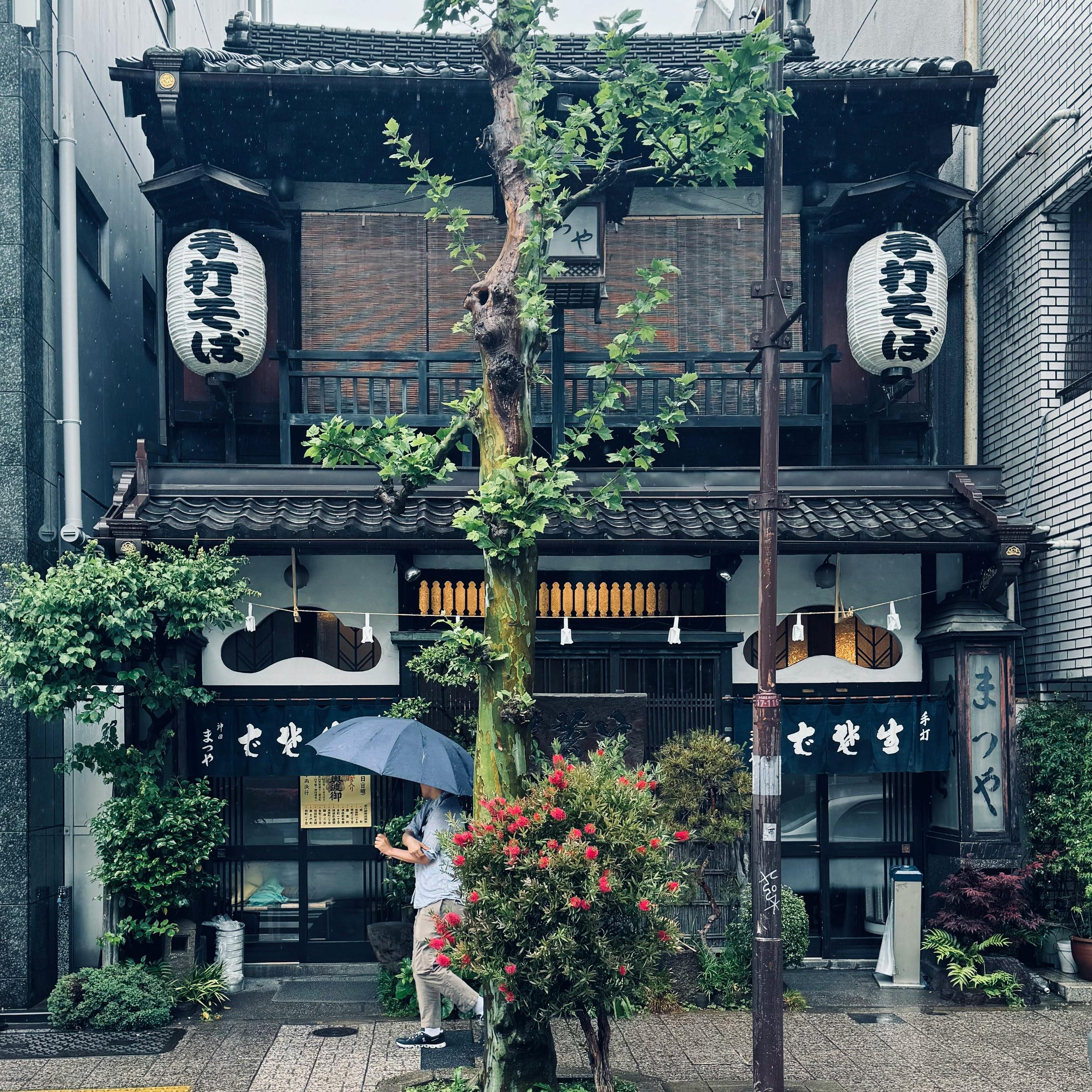 Japanese Restaurant Business Plan