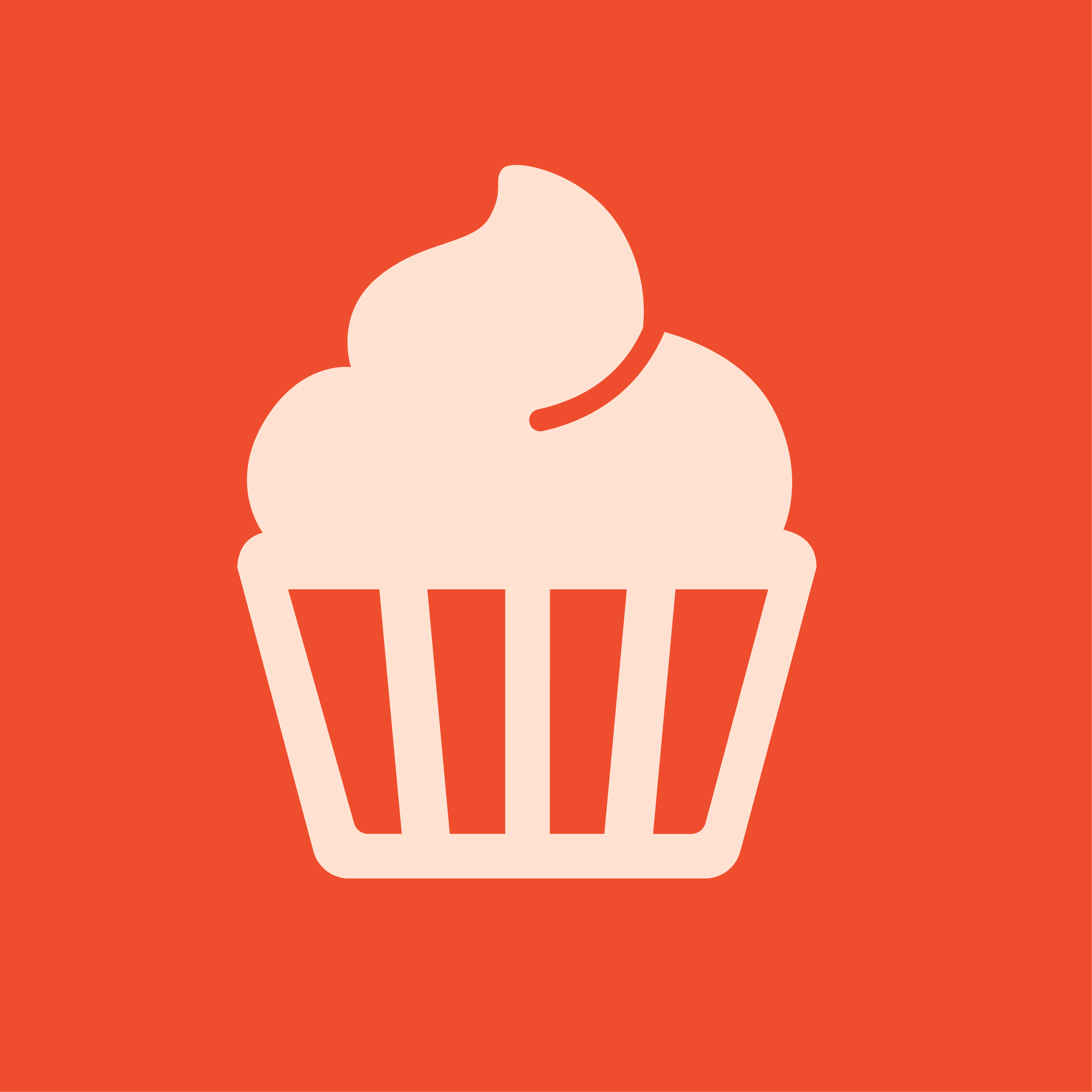 small cakes and tray bakes 