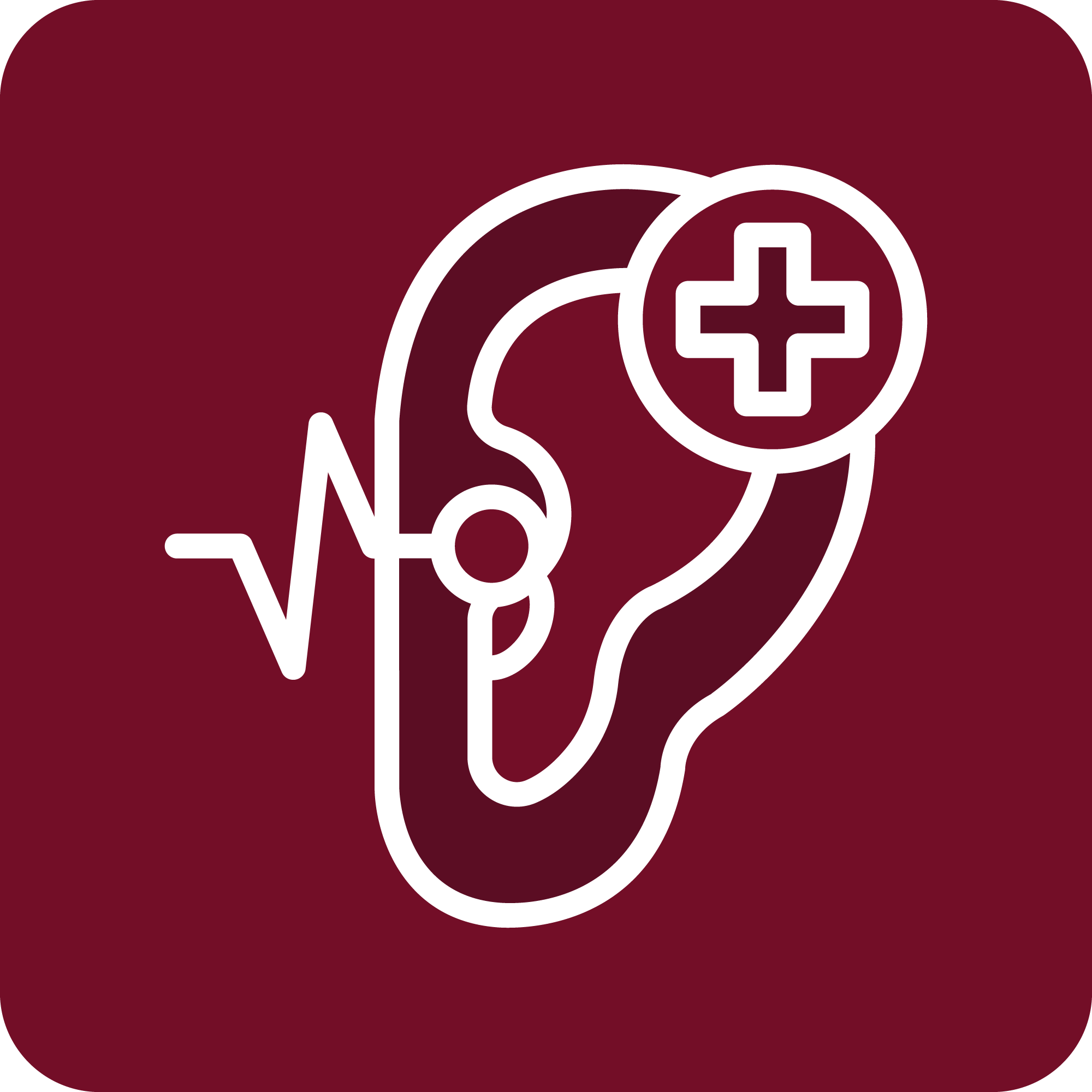 Outline of a stethoscope with a medical cross symbol, combined with a cardiogram line, on a dark red background.