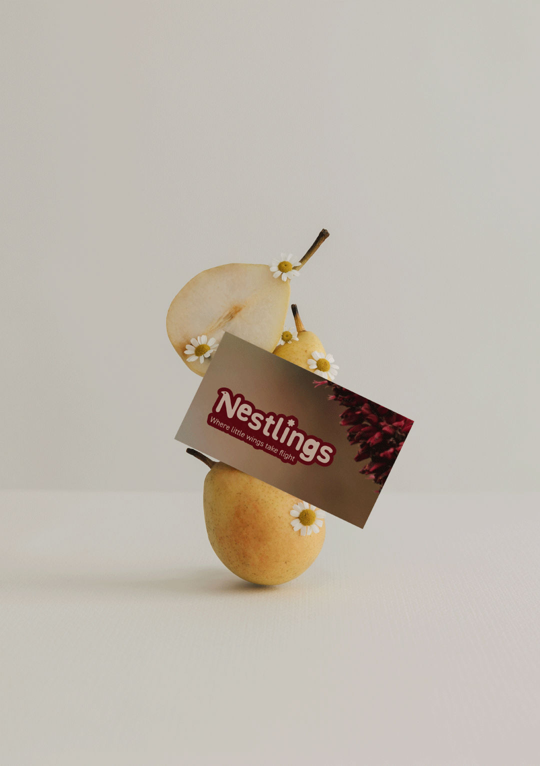 Nestlings-Casestudy-14.png