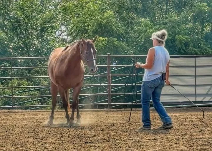 Revealing Who We Are