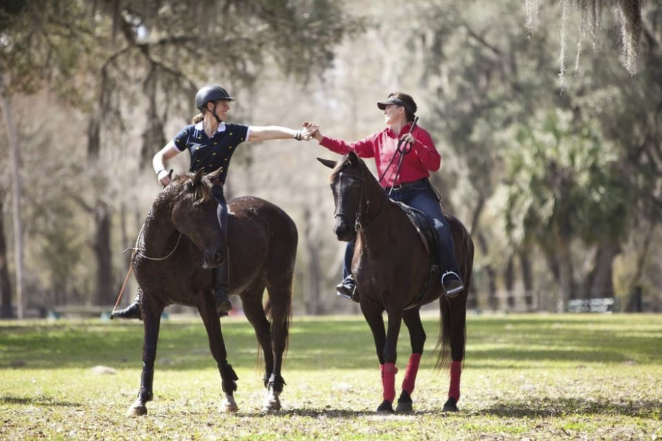 Embracing the Journey in Horsemanship: Why the Process Matters More Than the Outcome