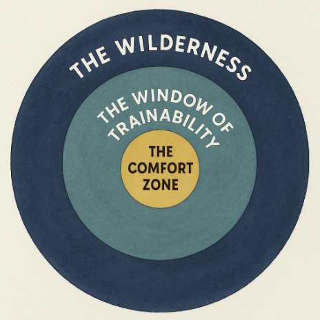 The Window of Trainability