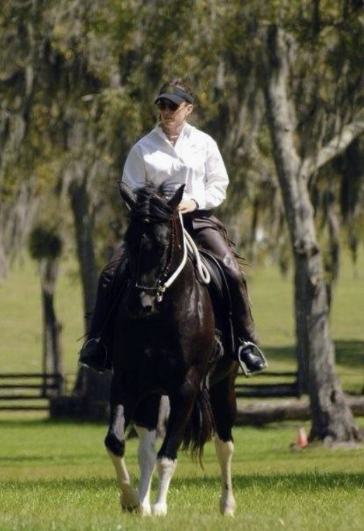 Attunement with Horses: The Foundation of True Partnership