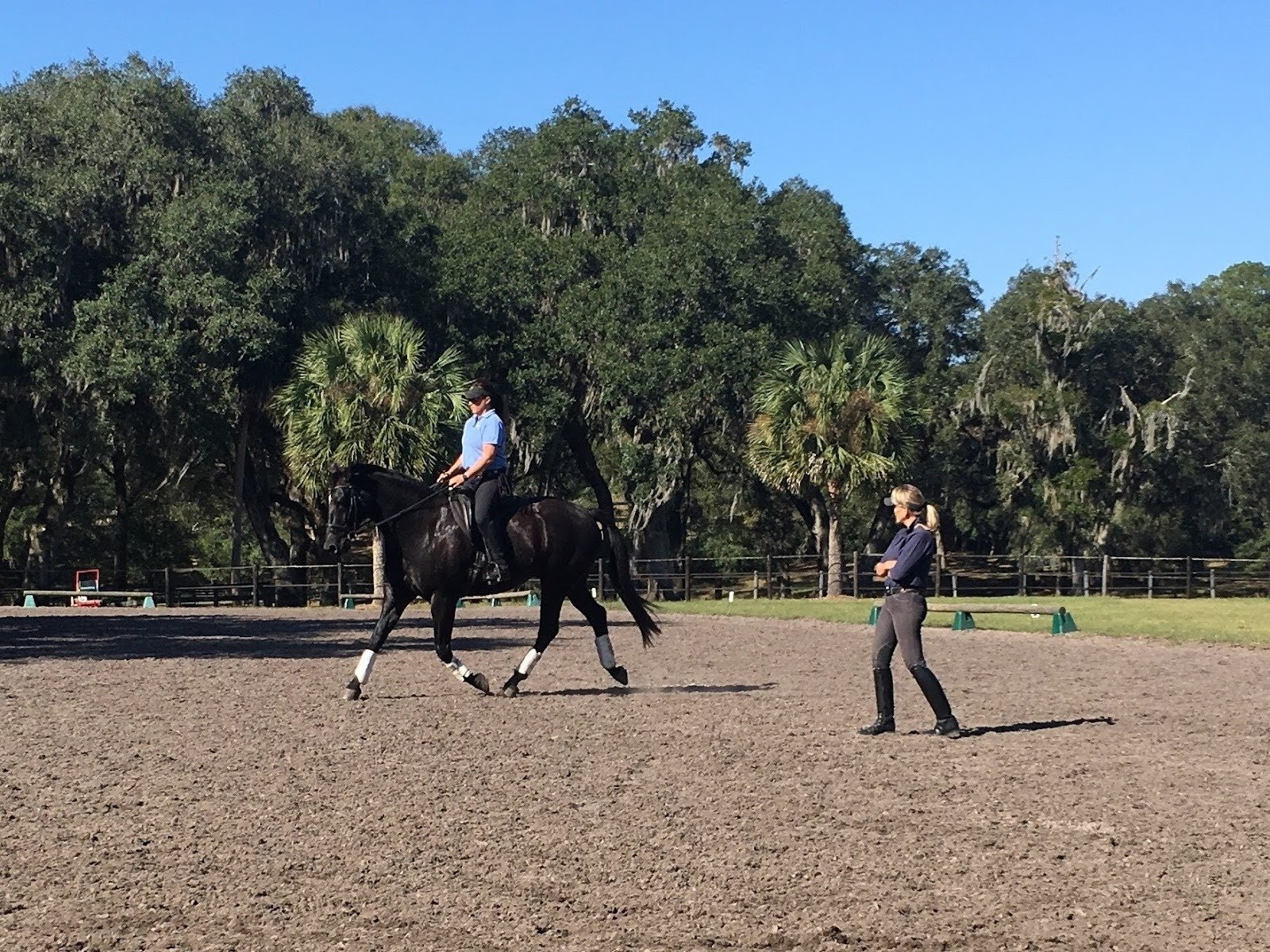 Why Riders Choose Certain Horsemanship Mentors