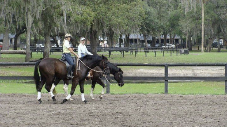 Developing Leadership in Horsemanship