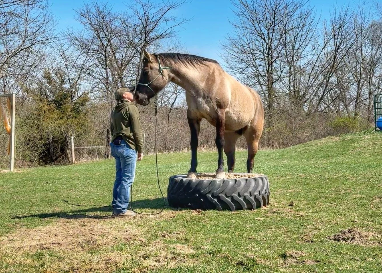 Setting Goals, Overcoming Challenges, and Rethinking Timelines in Horsemanship Training