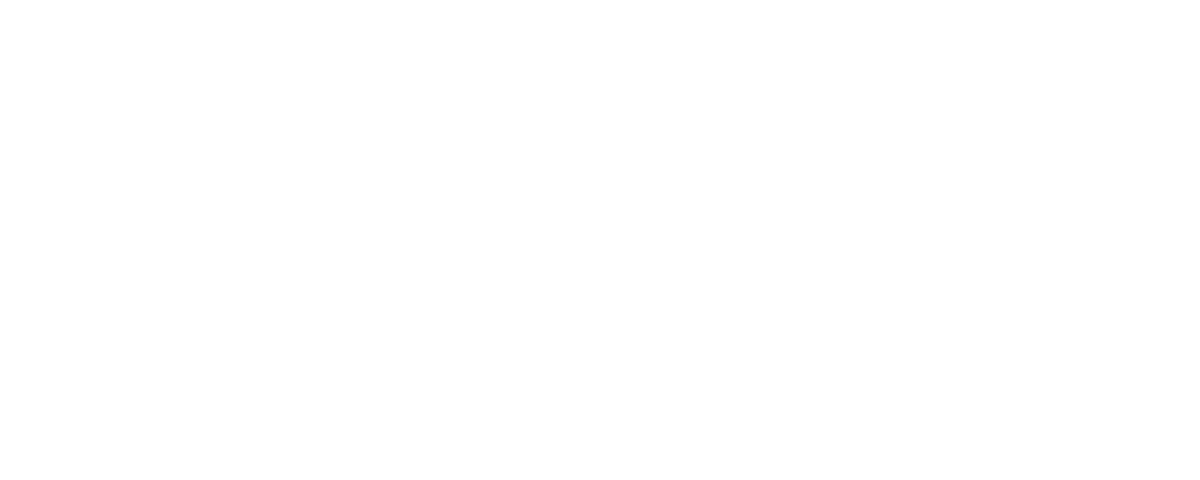 undp.png
