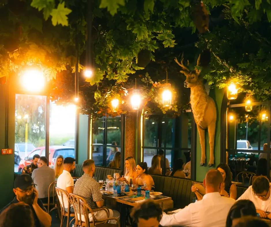 Knieja Czarodzieja Kowale