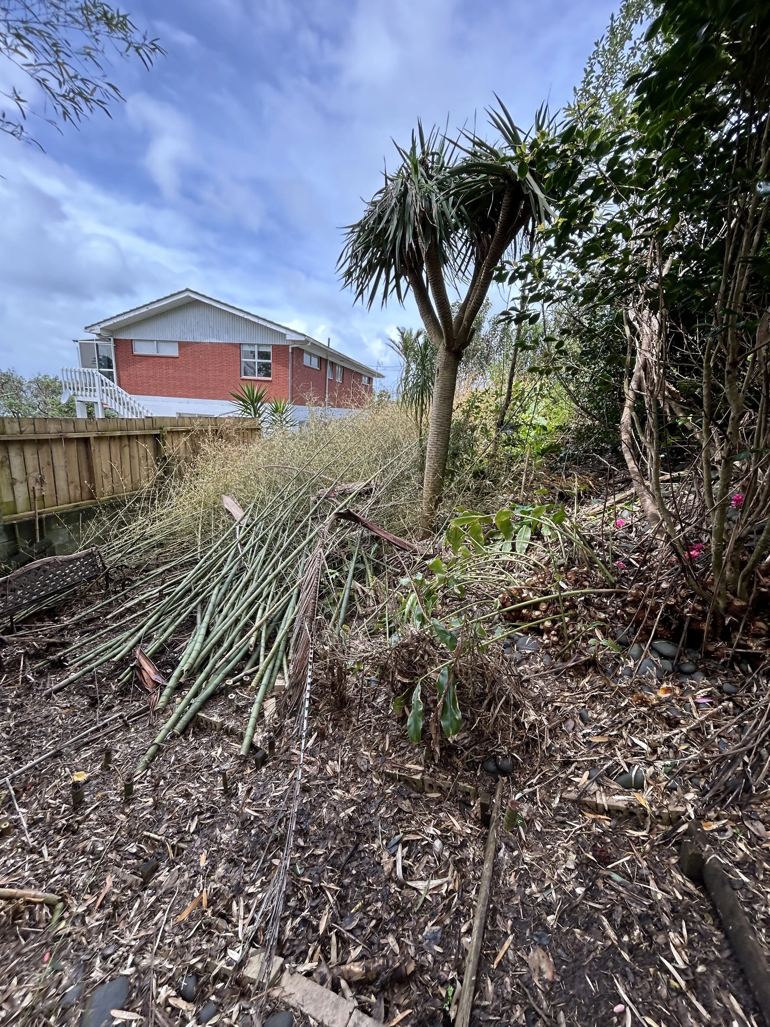 junk removal truck clearing furniture in north shore auckland