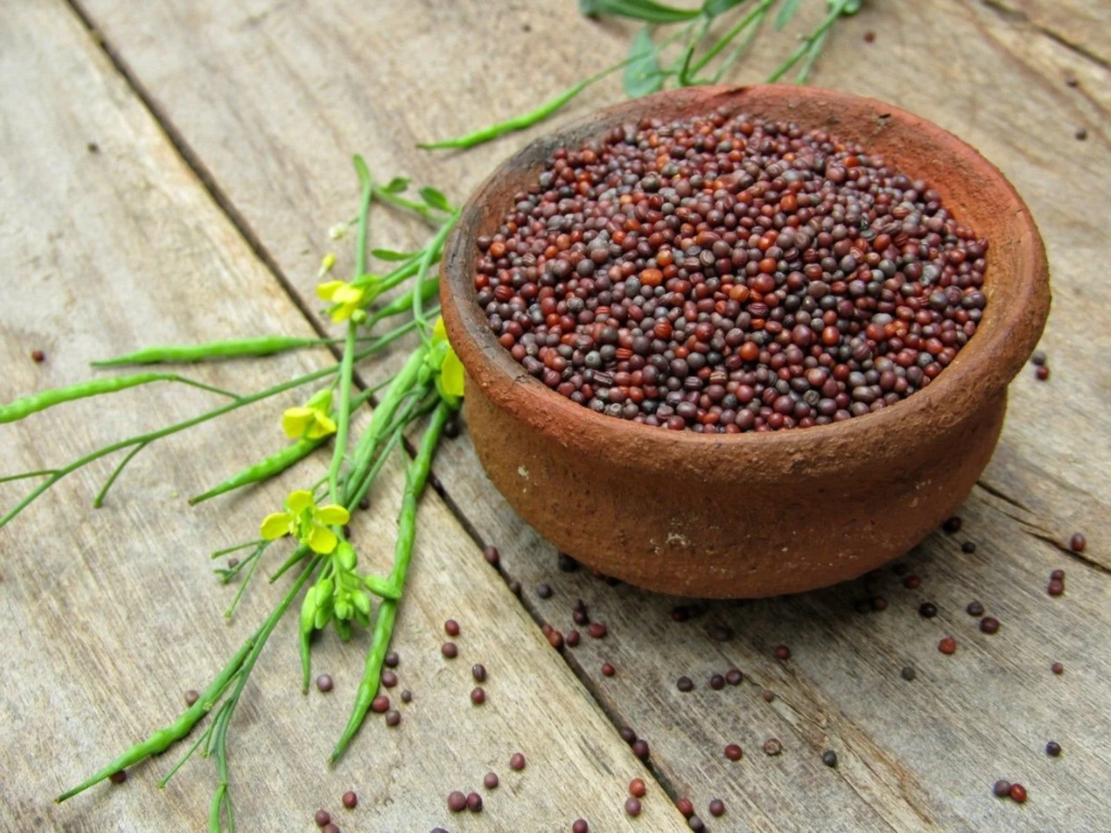 Mustard Seeds (Black)