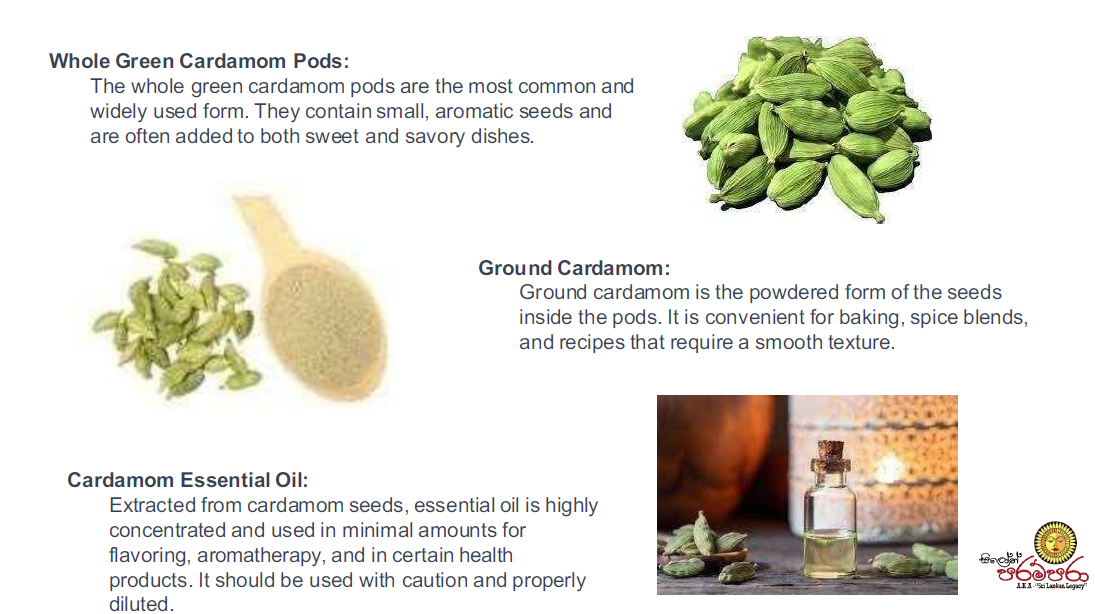 Screenshot 2026-02-05 214629.png