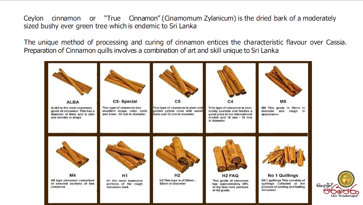 Screenshot 2026-02-05 161029.png