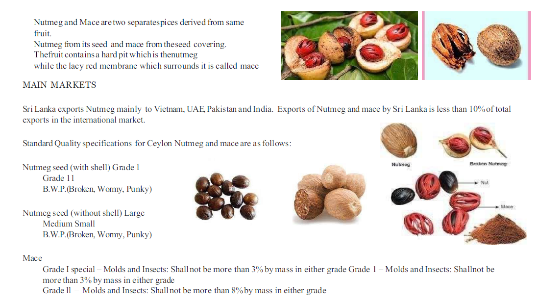 Screenshot 2026-02-05 215108.png