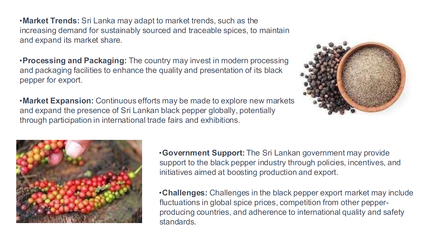 Screenshot 2026-02-05 161442.png