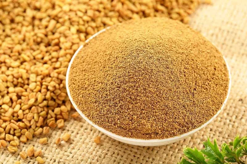 Ground Fenugreek