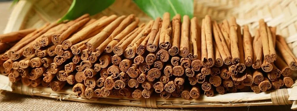 Ceylon true Cinnamon