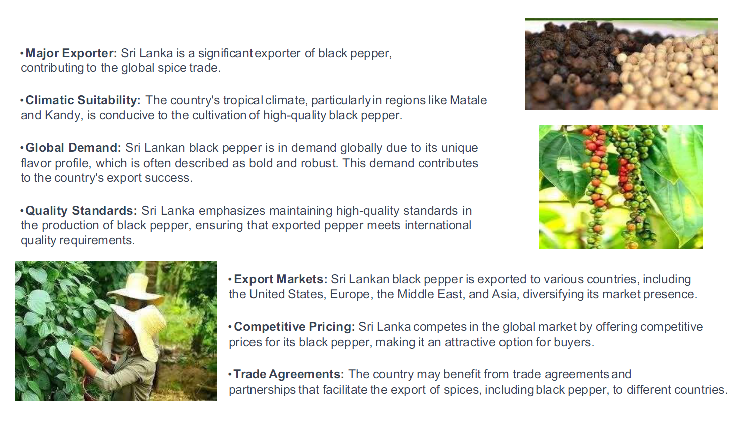 Screenshot 2026-02-05 161434.png