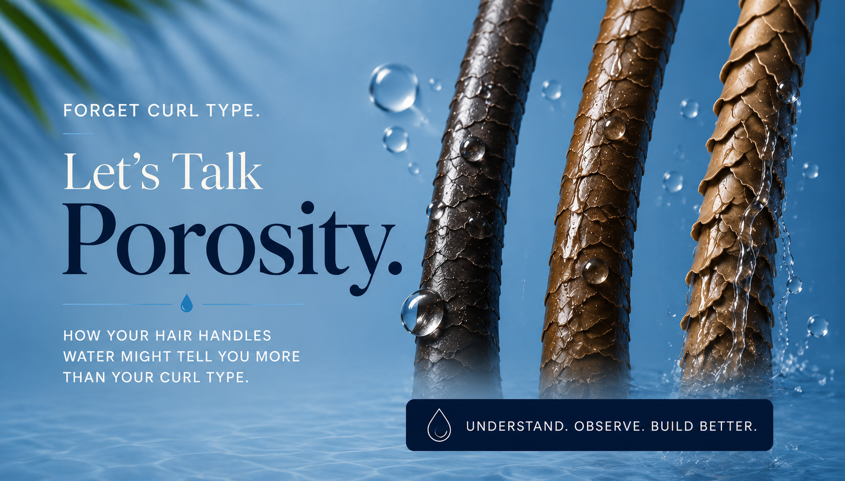 Forget Curl Type. Let’s Talk Porosity.