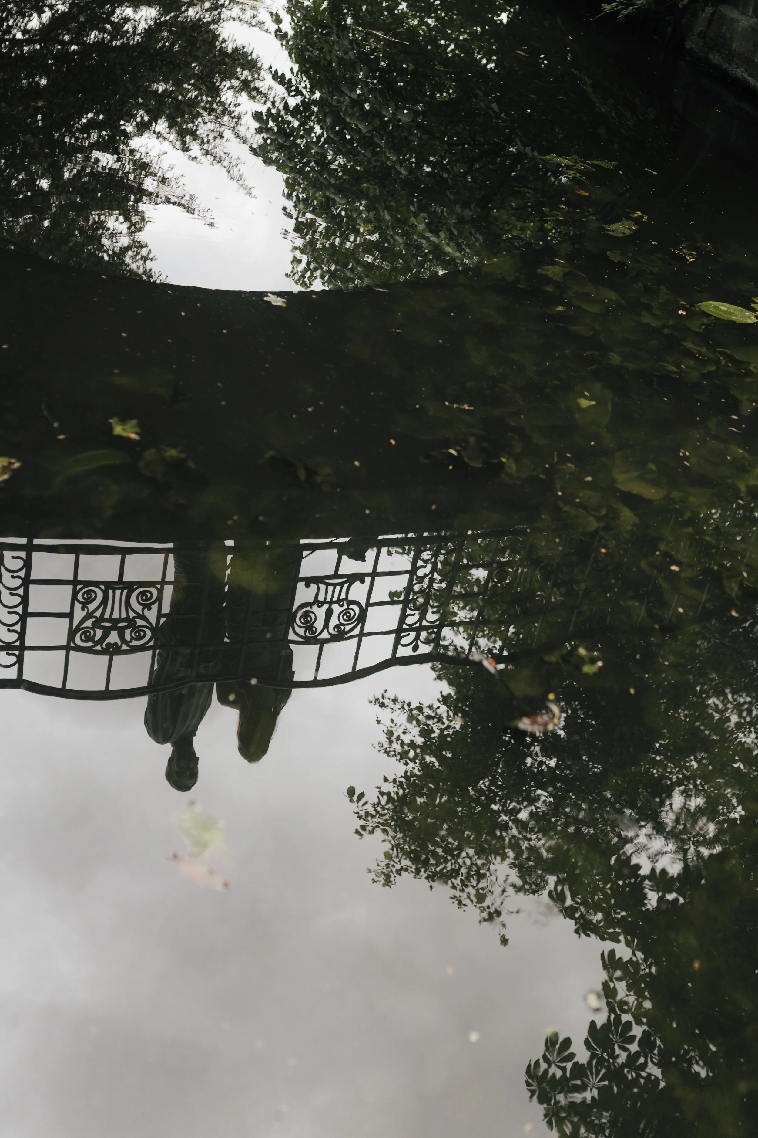 Spiegelbild eines Mannes, der an einem Zaun steht, in einer Wasserpfütze auf dem Boden, umgeben von Bäumen und Wolken am Himmel.