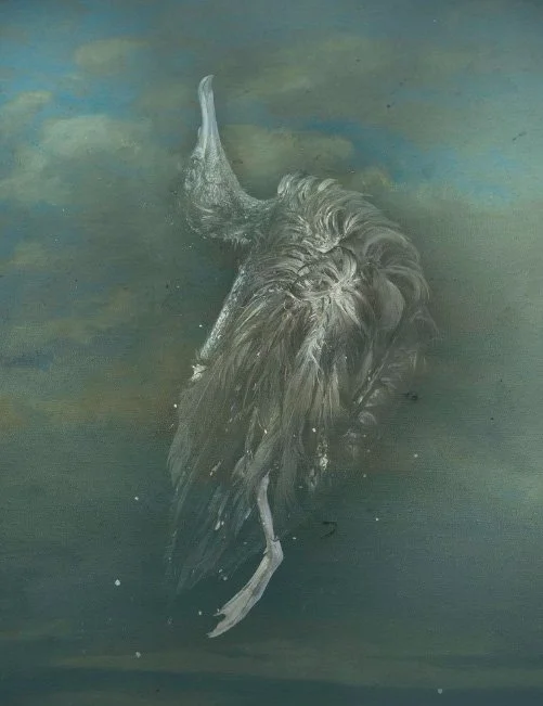 Still (FFS) by Mandy Barker