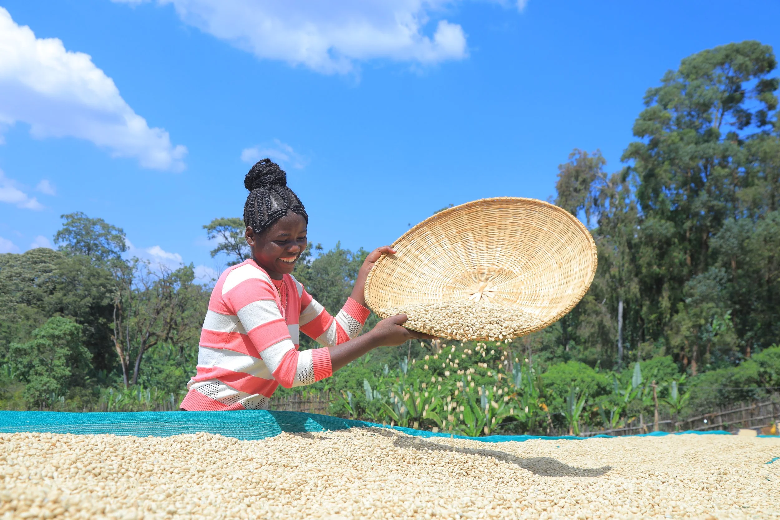 Ethiopia - Chelbesa