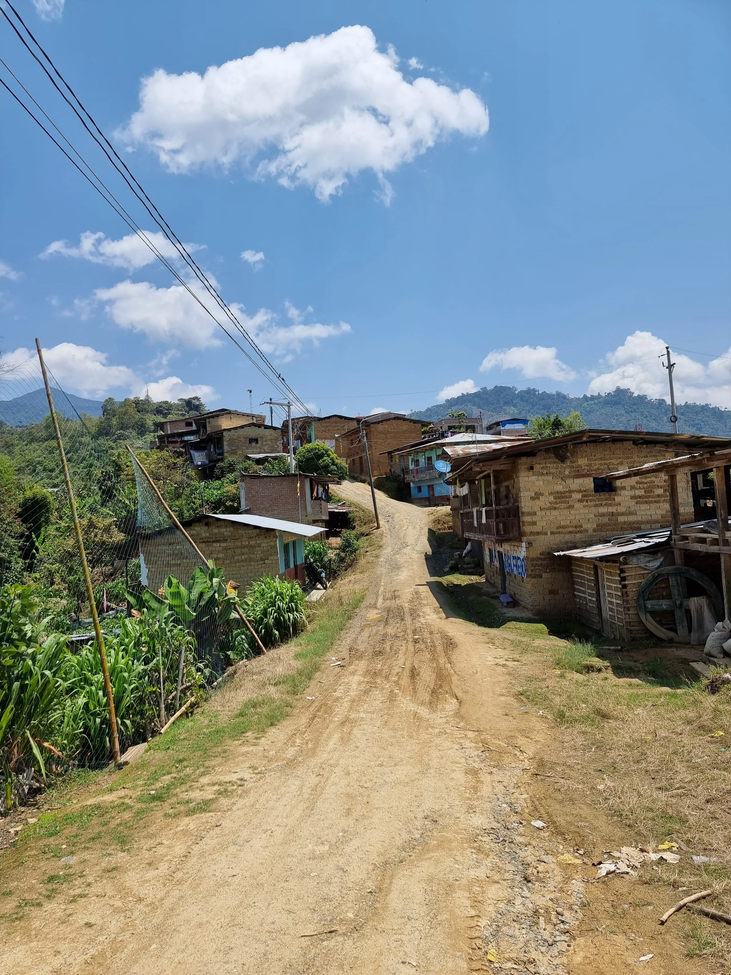 Peru - El Palto