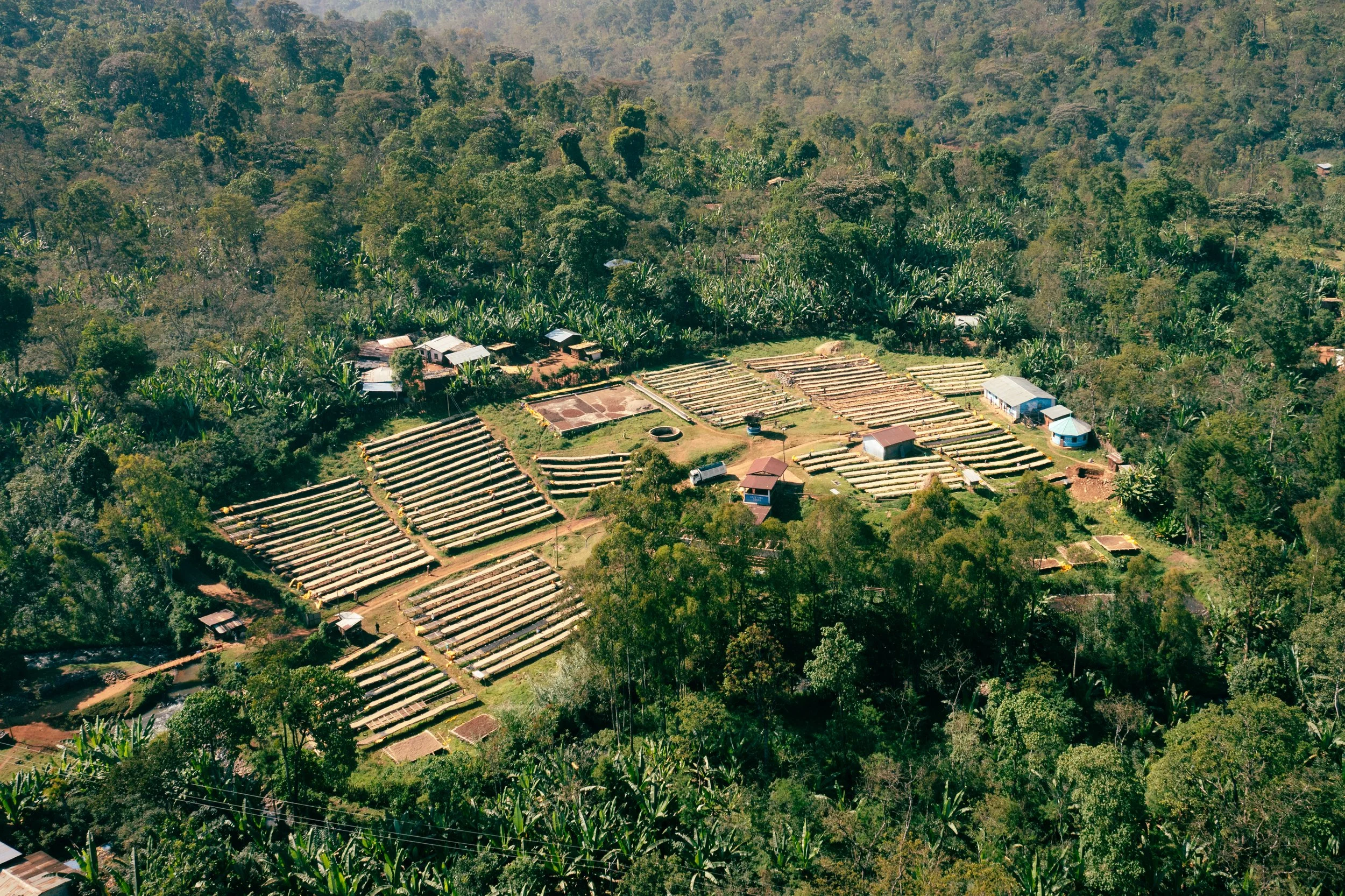 Ephtah Coffee Drone-10.jpg