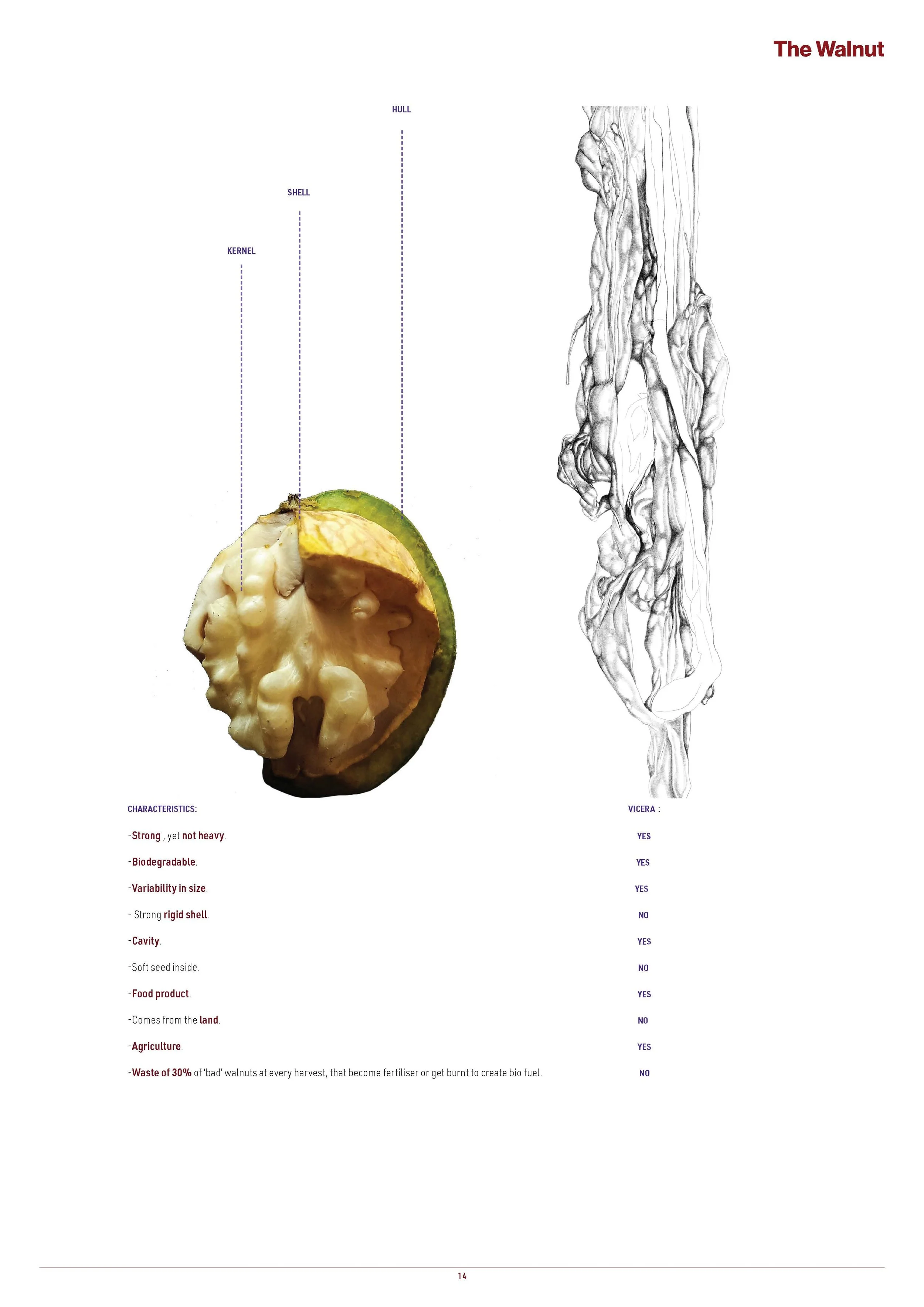 Moisture Muscle Techncial Studies Booklet FINAL_Page_019.jpg