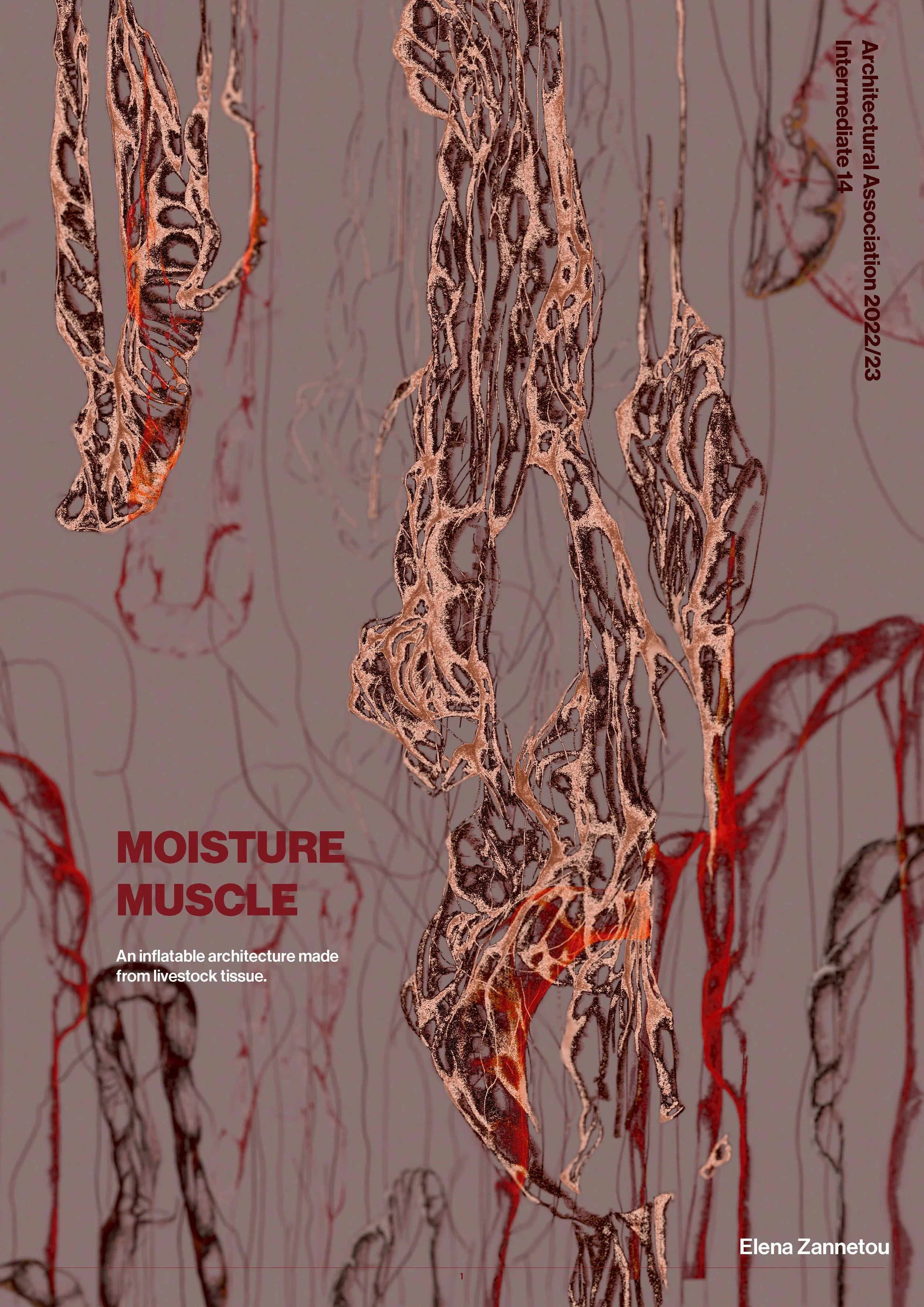 Moisture Muscle Techncial Studies Booklet FINAL_Page_001.jpg