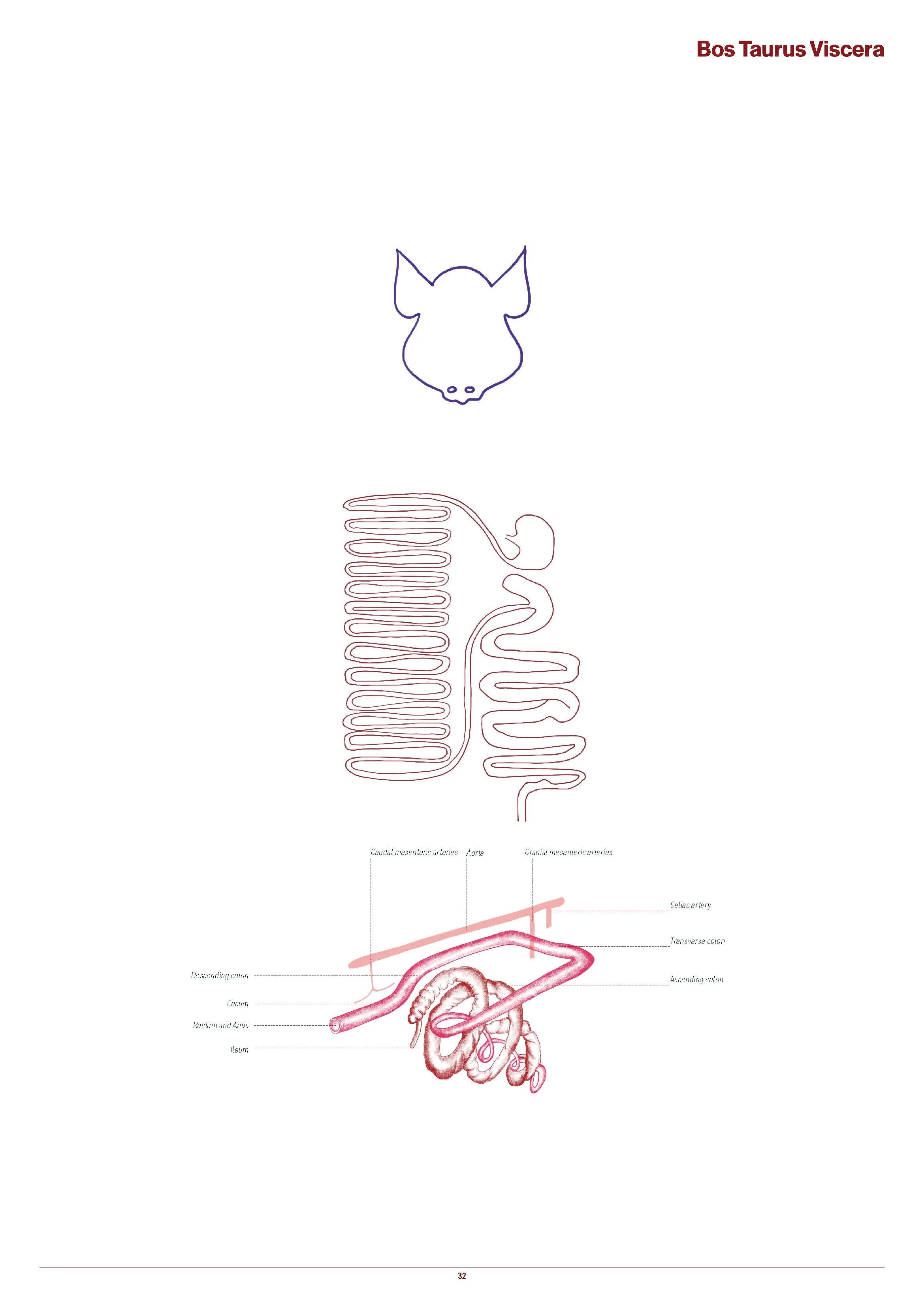 Moisture Muscle Techncial Studies Booklet FINAL_Page_037.jpg