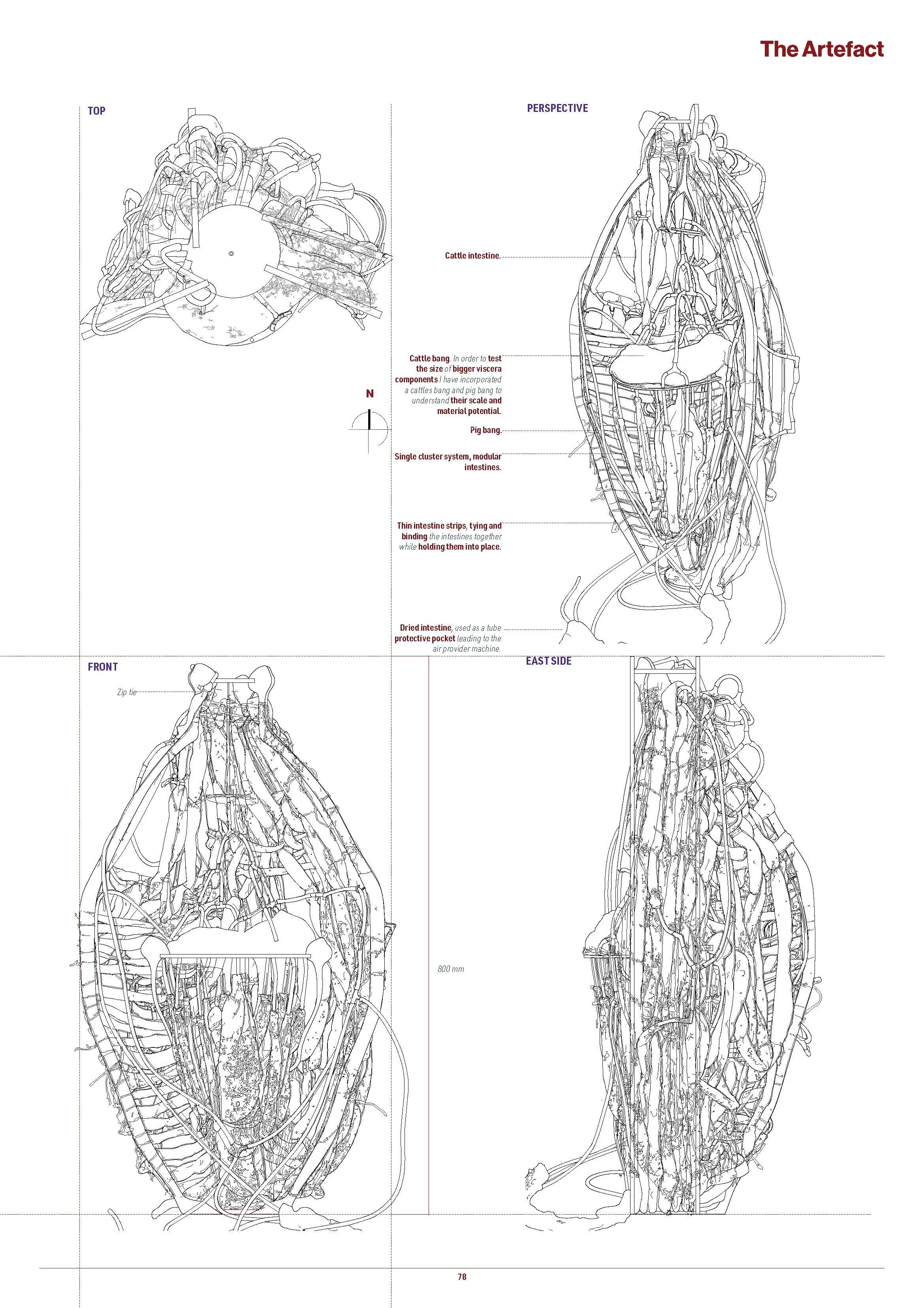 Moisture Muscle Techncial Studies Booklet FINAL_Page_083.jpg