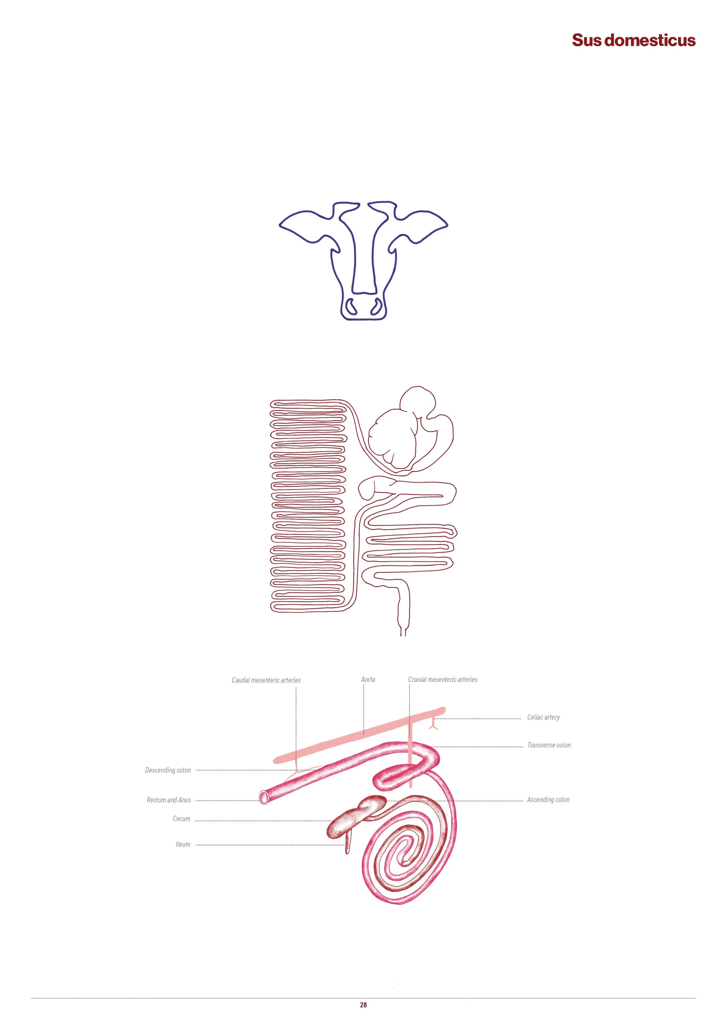 Moisture Muscle Techncial Studies Booklet FINAL_Page_033.jpg