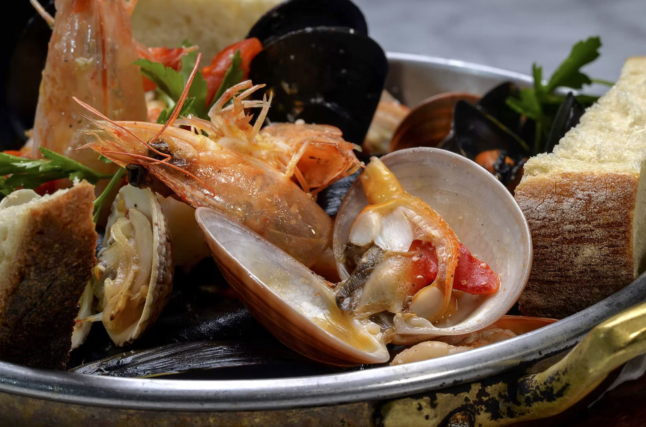 Screenshot 2026-02-09 at 7.08.17 PM.png