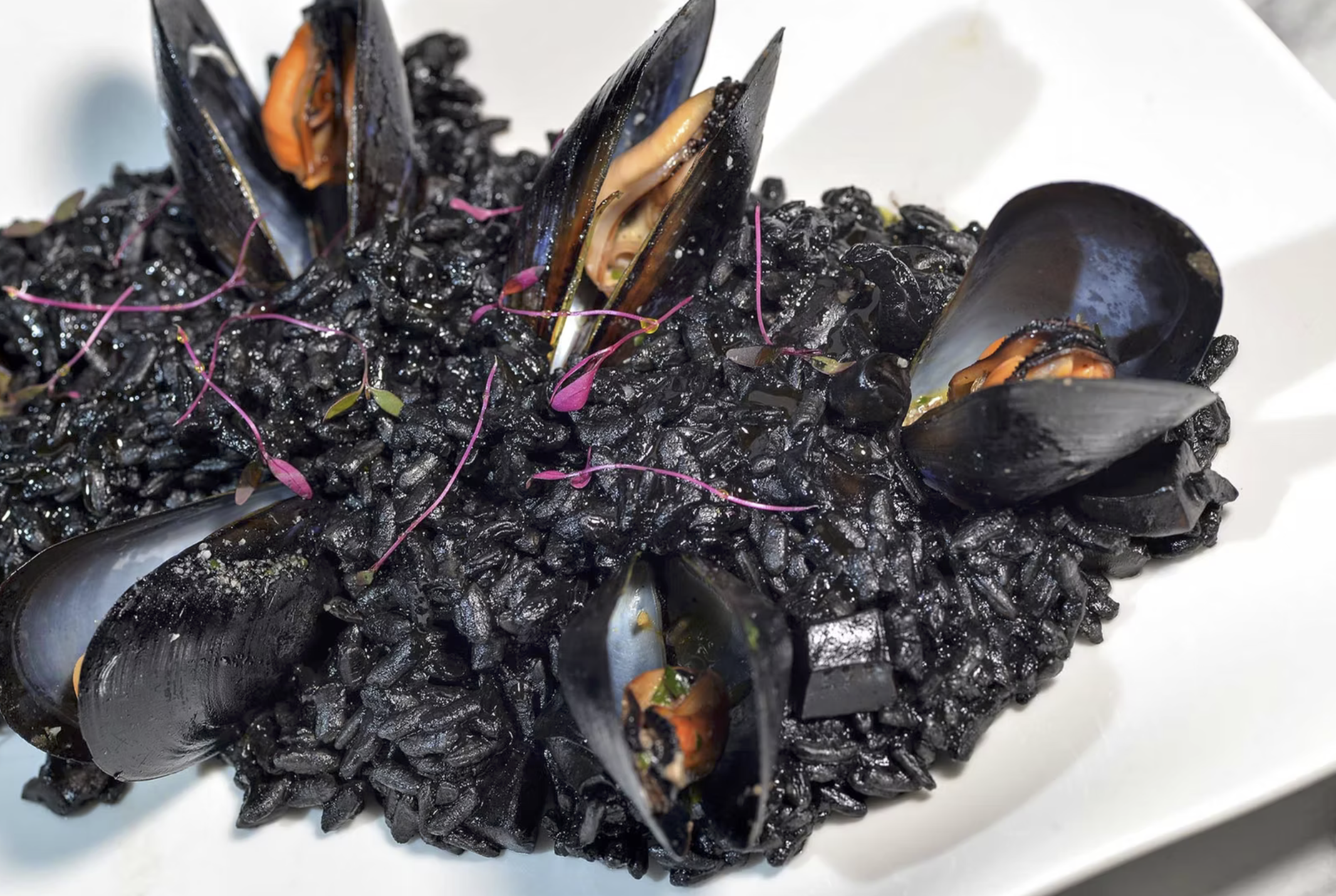 Screenshot 2026-02-09 at 7.08.41 PM.png