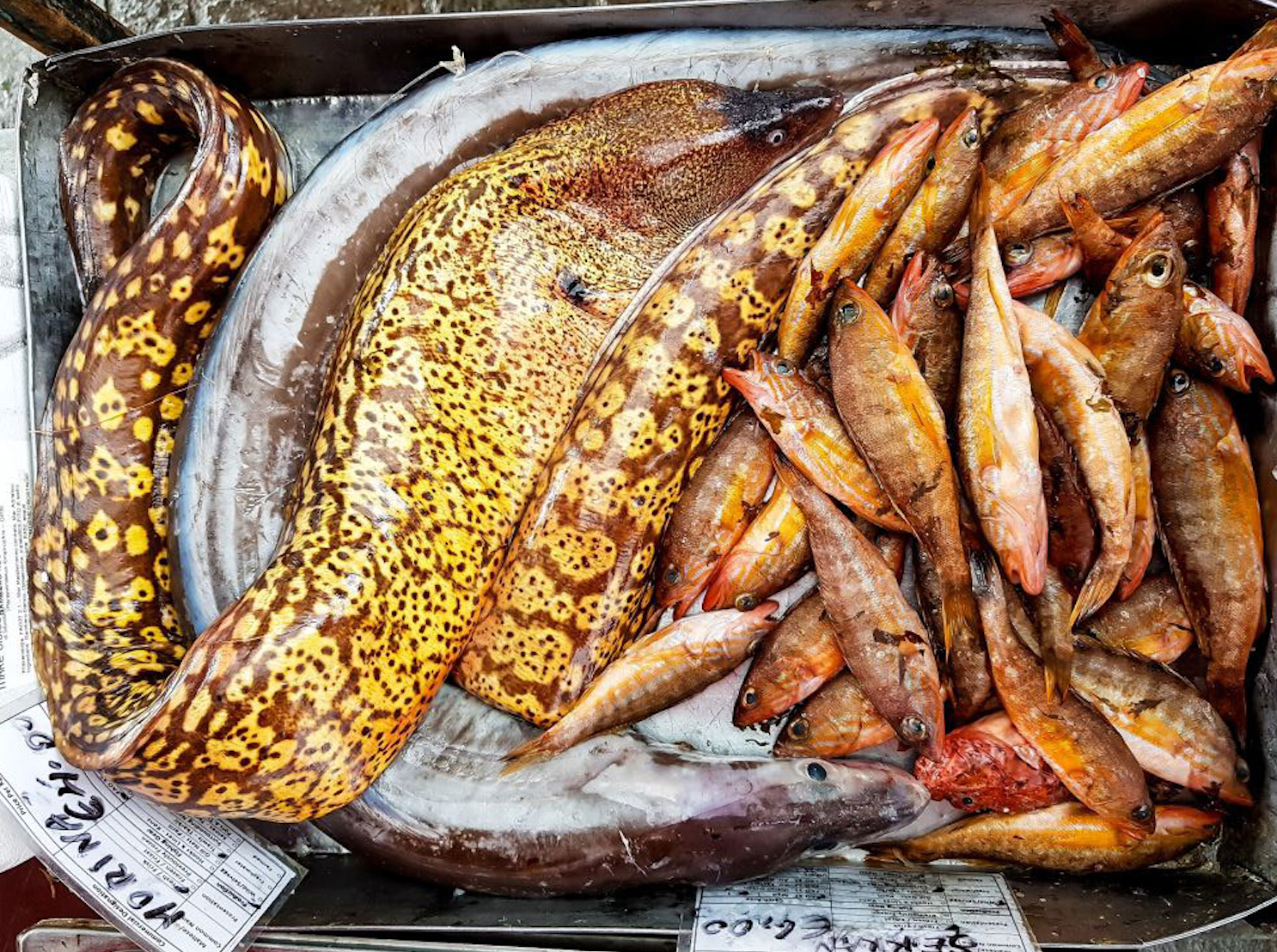 Marsaxlokk, Malta Sunday fish market with fresh lampuki and traditional Maltese seafood dishes like aljotta