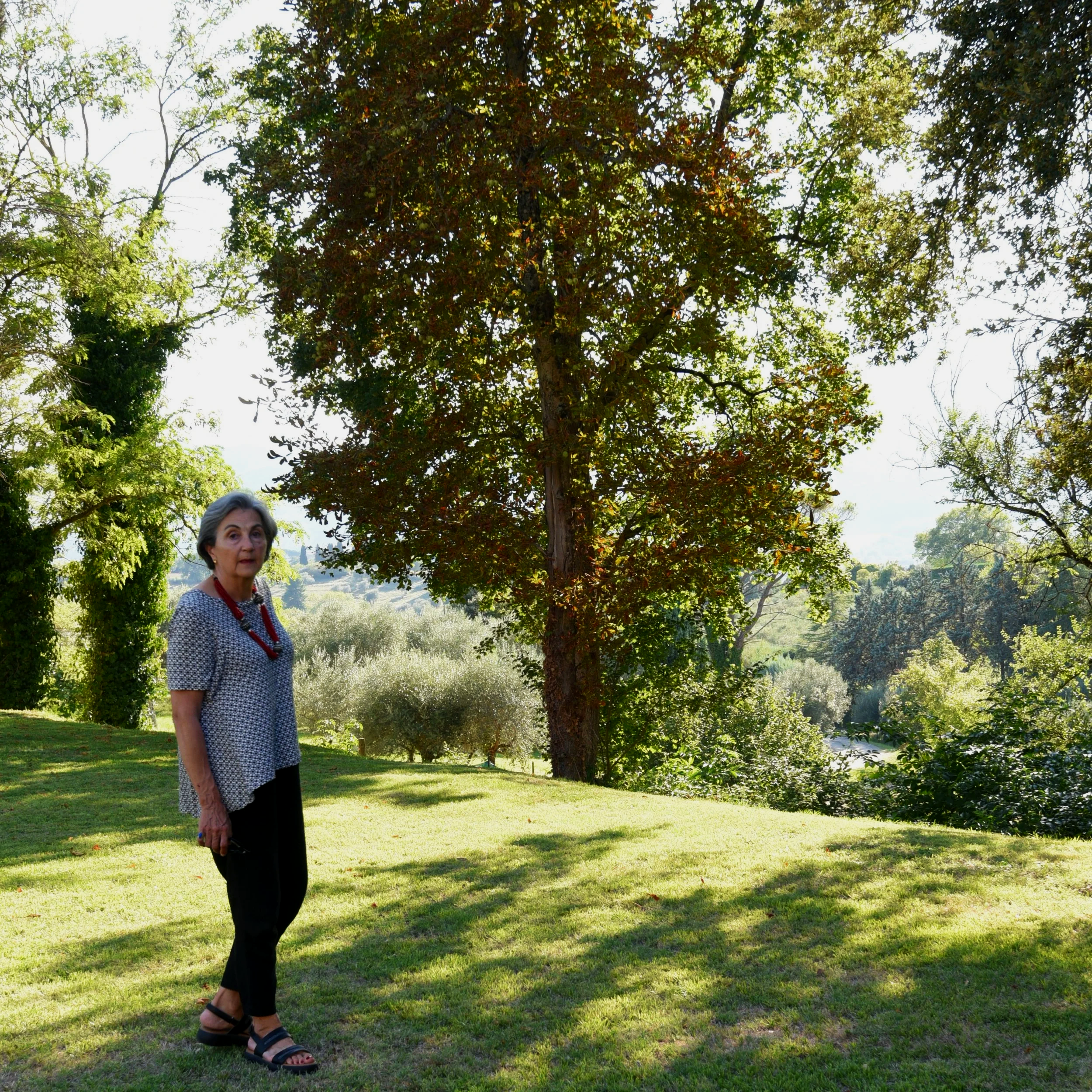Elvira looking toward the camera, with green fields and trees behind her.