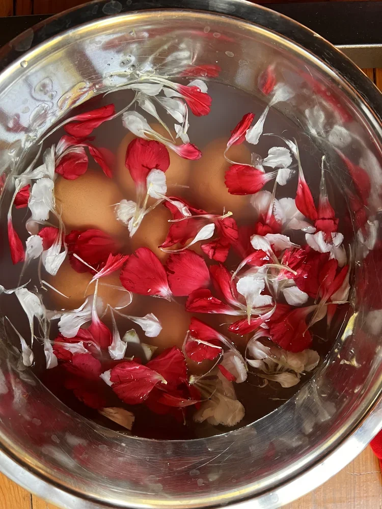 3F78DBF4-859F-44A3-AD56-FBEE71C463CA (1).webp