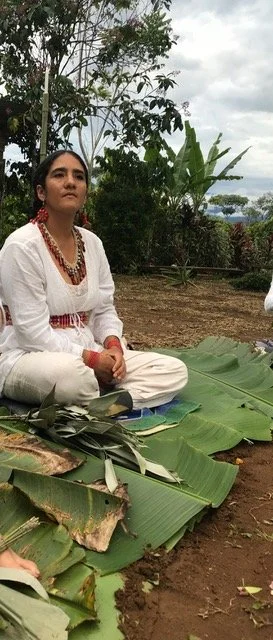 Maestra Curandera Tati Davila