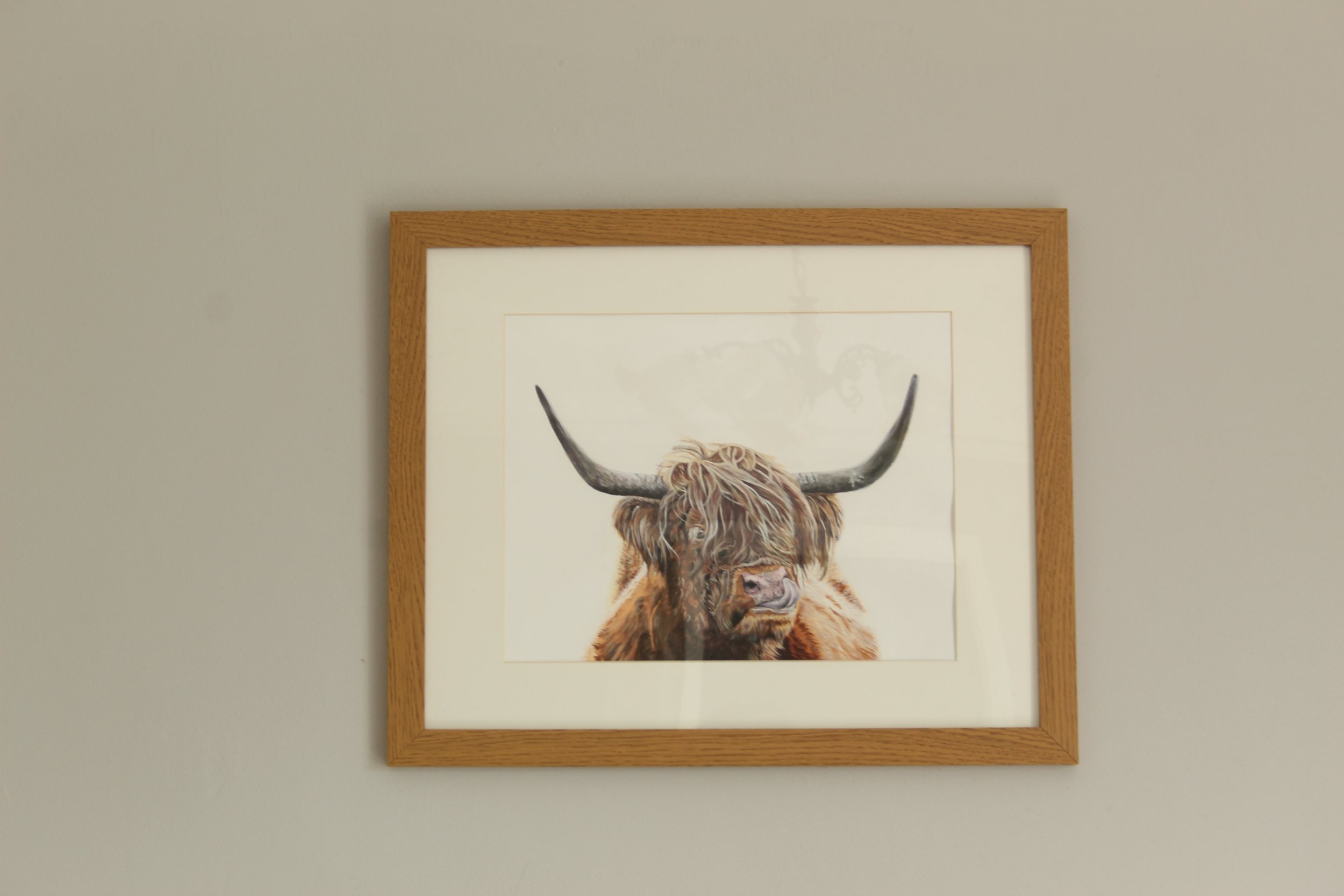 'Highland Cow' | Original