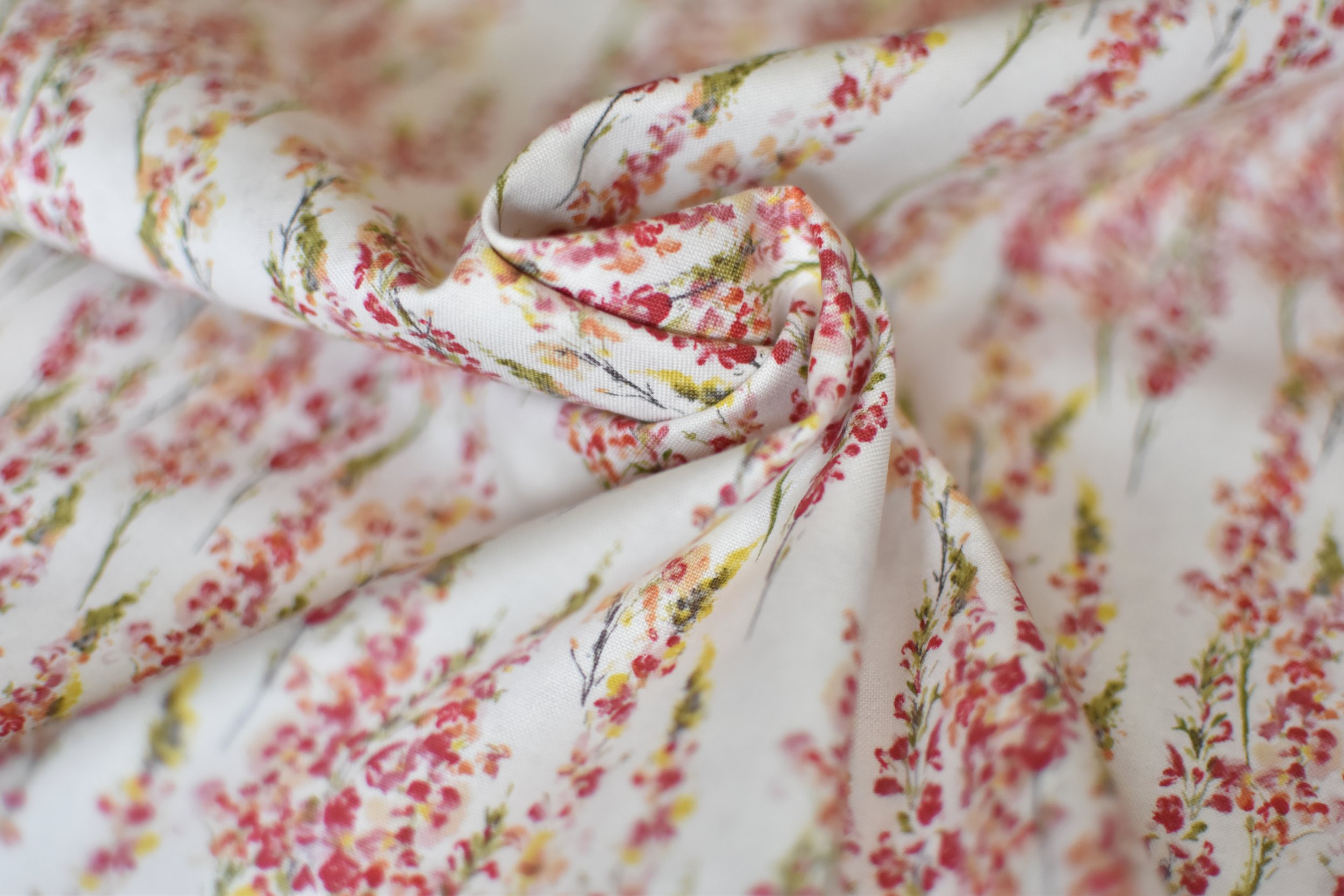 Cone Flowers - Flourish by Hina Mirza