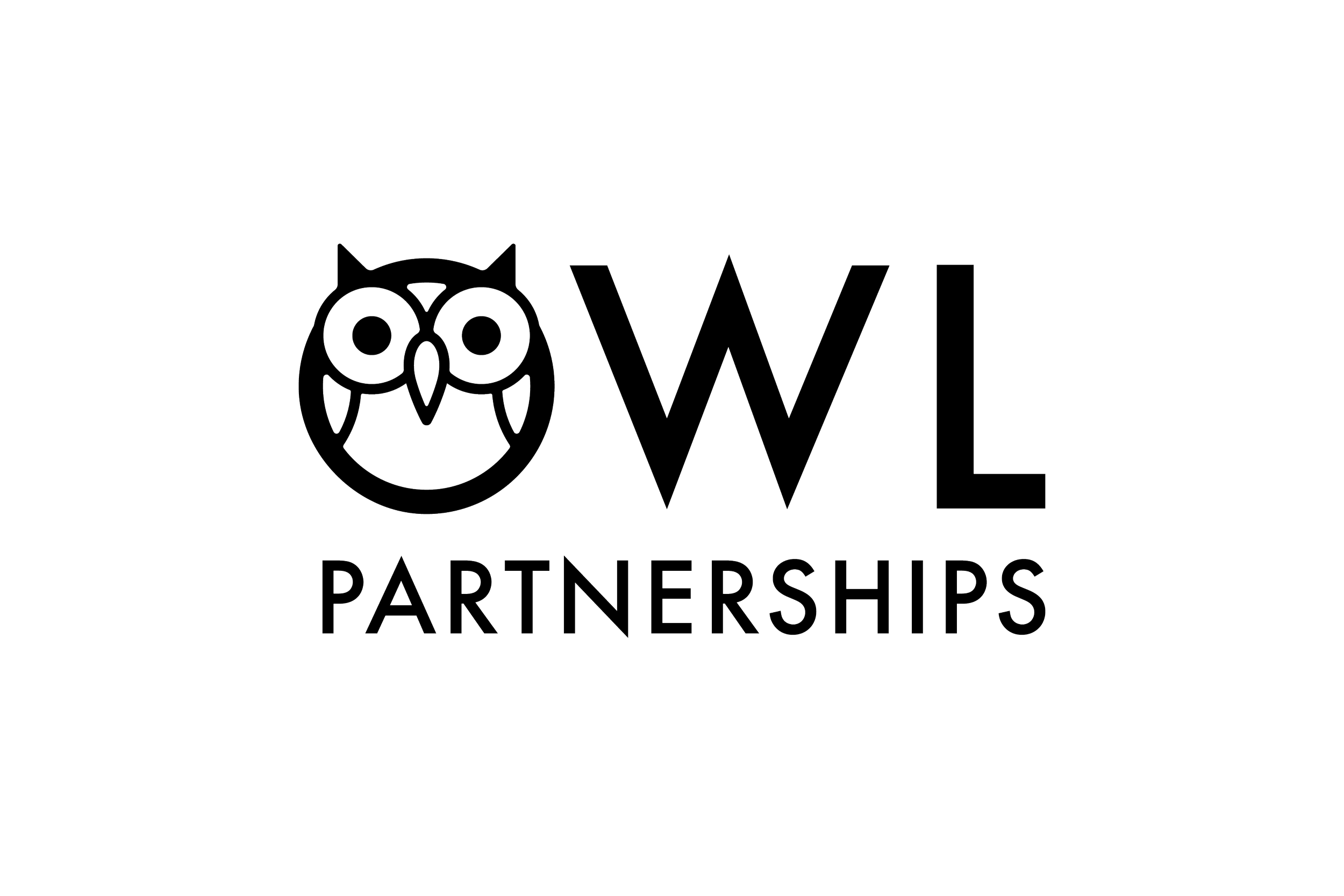 Line art logo for OWL Partnerships with an owl face icon, the text 'OWL' in large font, and 'PARTNERSHIPS' below in smaller font.