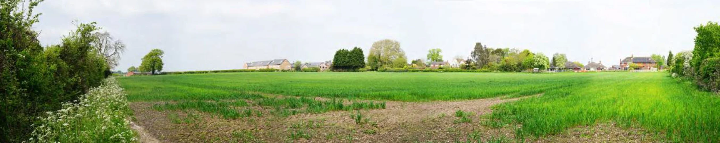 Photograph of the existing site to the west of Austrey Road, with houses and trees in the background, and grassy fields in the foreground.